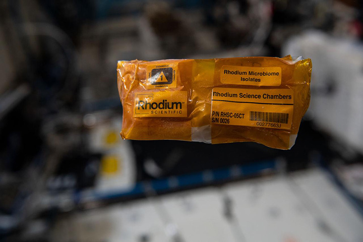 A view of the Rhodium Space Microbiome Isolates in microgravity.