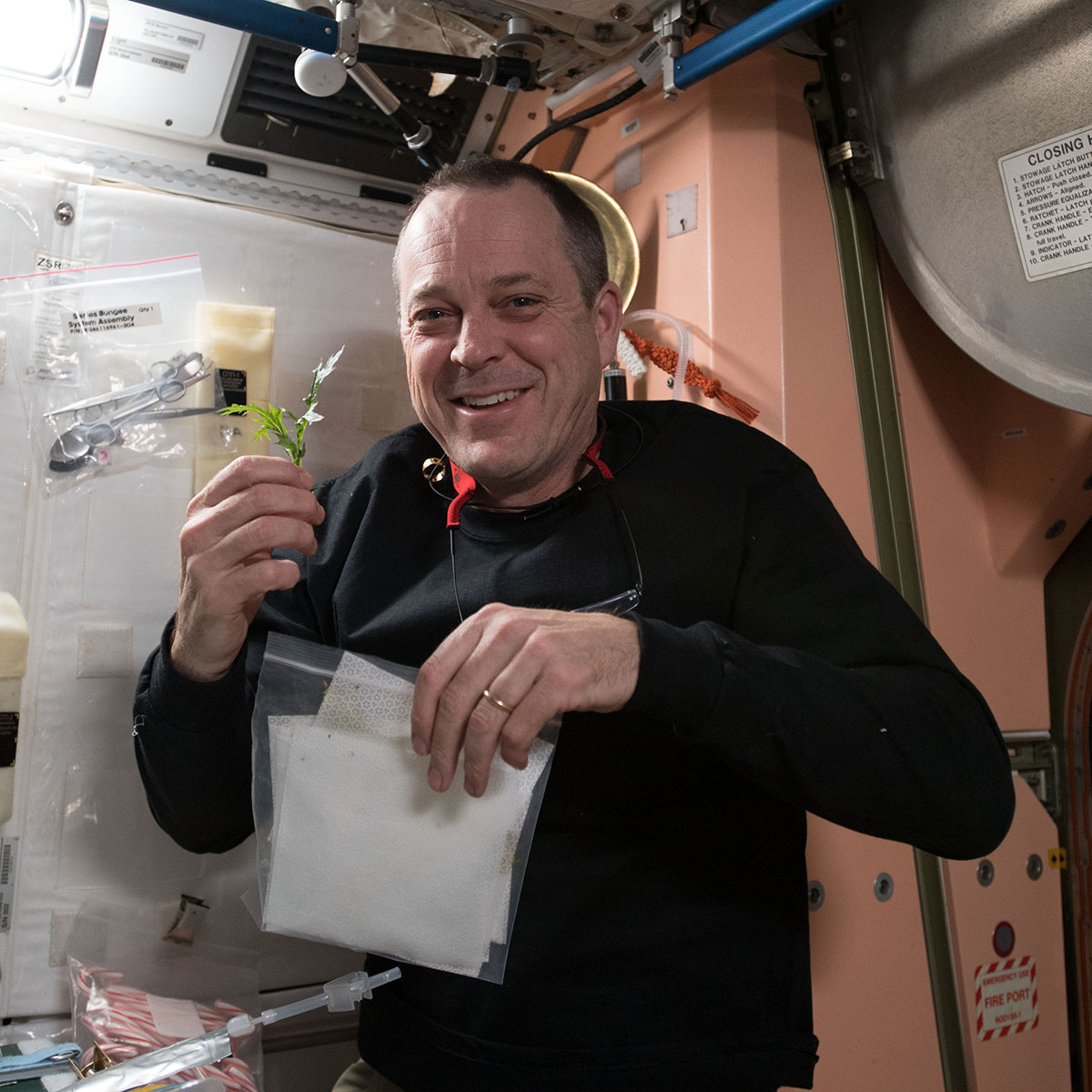 NASA astronaut Ricky Arnold with freshly harvested lettuce as a part of the Veg 03 investigation.
