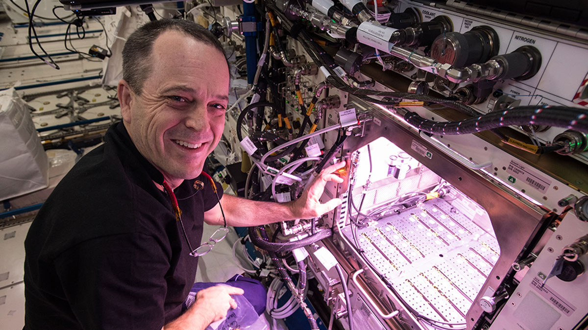 NASA astronaut Ricky Arnold performs plant thinning operations for the Plant Habitat 1 investigation.