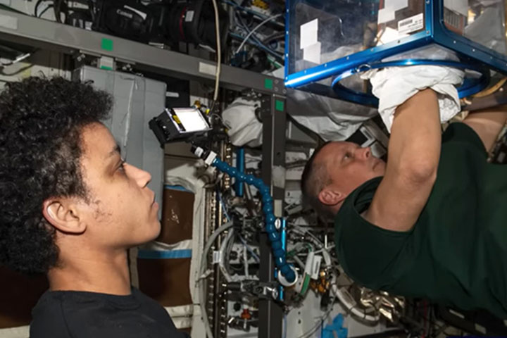 NASA astronauts Jessica Watkins and Bob Hines set up the Rodent Research 22 investigation.