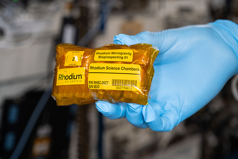 Frank Rubio holds samples from the Rhodium Scientific Bioprospecting investigation.