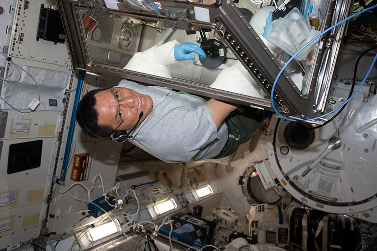 NASA astronaut Frank Rubio services stem cell samples for the StemCellEX H Pathfinder study.