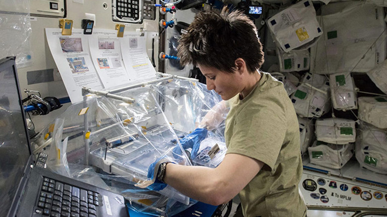 NASA Image: ISS043E125603 ESA astronaut Samantha Cristoforetti working with the Osteo 4 experiment.