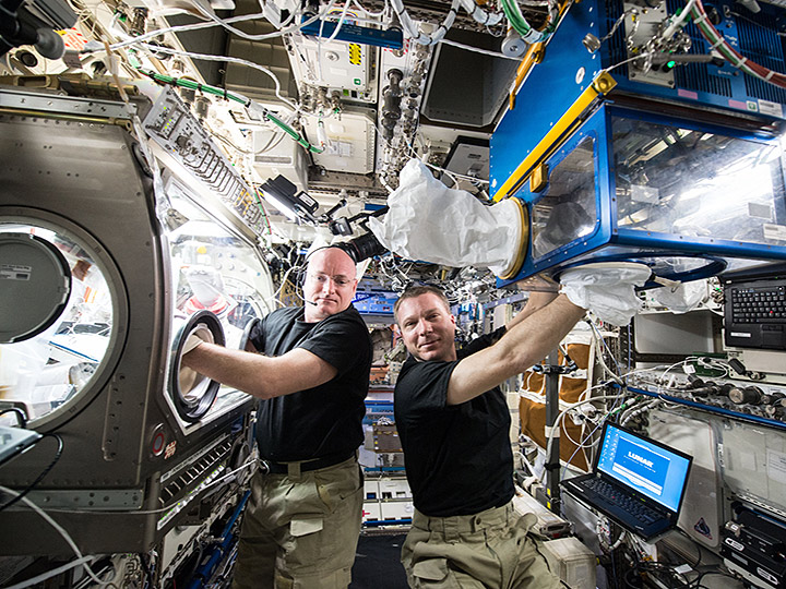 Expedition 43 Commander Terry Virts and Flight Engineer Scott Kelly perform operations for Rodent Research 3