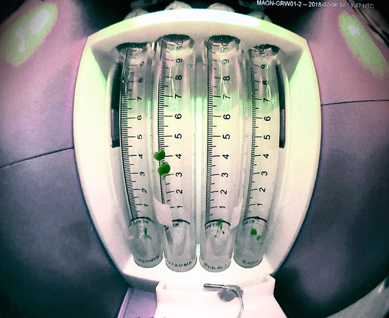 Inside the ExoLab, a small camera with a wide angle lens images the four growth chambers every few hours.