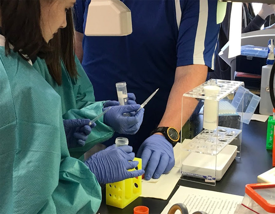 Students prepared a solution of bacterial plasmids for their experiment.