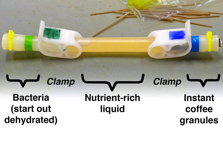 The team prepared two fluids mixing enclosure tubes (MixStix) one to fly and one as a control on the ground. Each tube has three chambers separated by removable clamps.