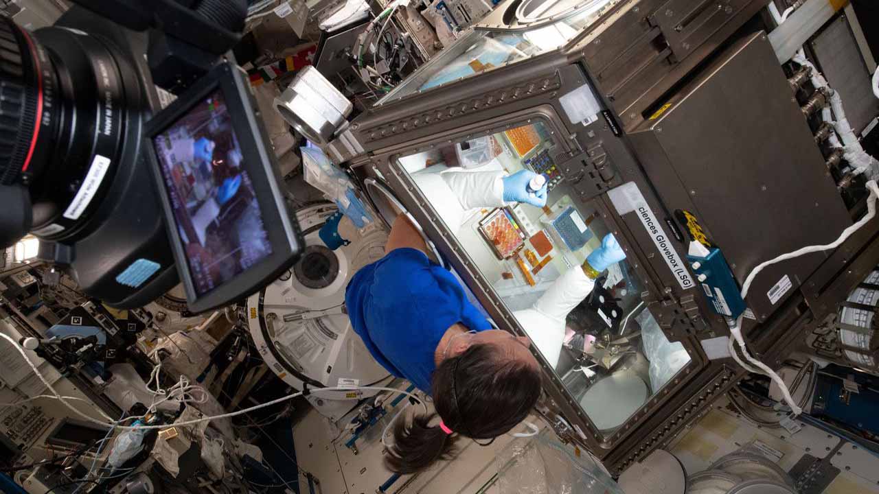 iss065e026994 (5 8 2021) NASA astronaut Megan McArthur services donor cells inside the Kibo laboratory modules Life Science Glovebox for the Celestial Immunity study.
