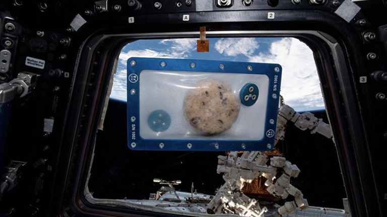A view of a food sample that was heated up inside the space stations Zero G oven.