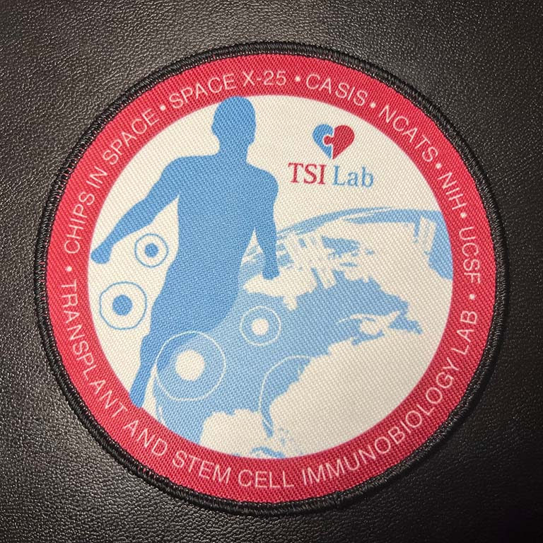 A view of the Chips in Space mission patch.