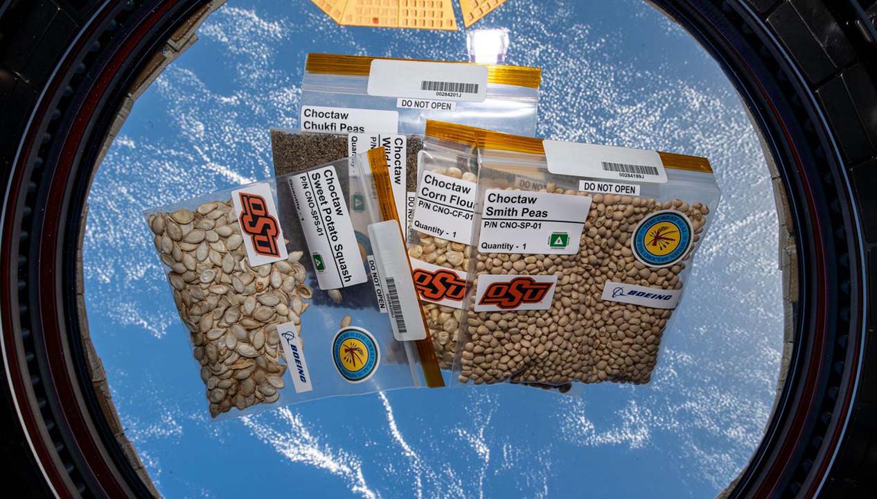Five varieties of Choctaw heirloom seeds onboard the ISS
