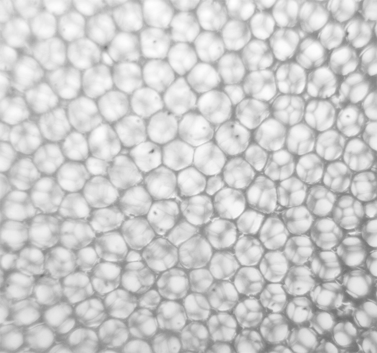 A microscopic image of dry foam (packed air bubbles) stabilized by nanoparticles