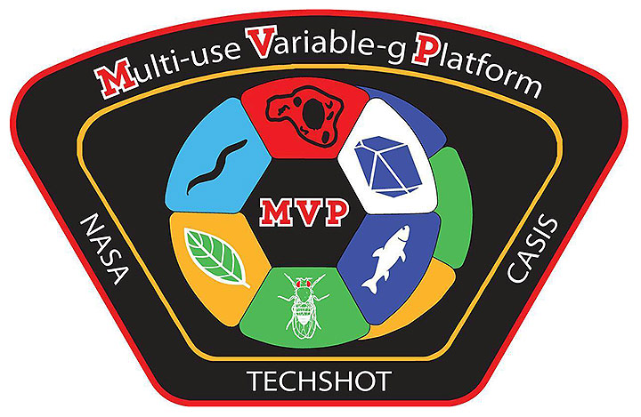 Techshot MVP patch