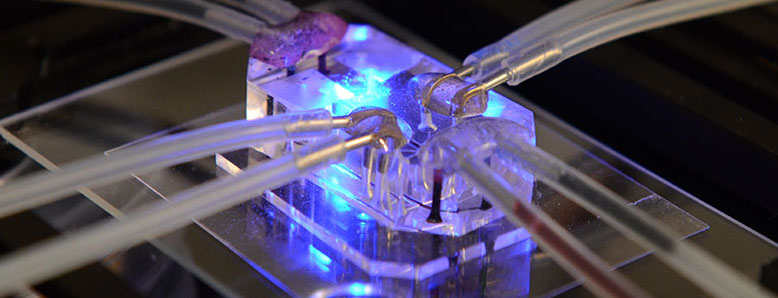 tissue chip lung on chip RG 778x298