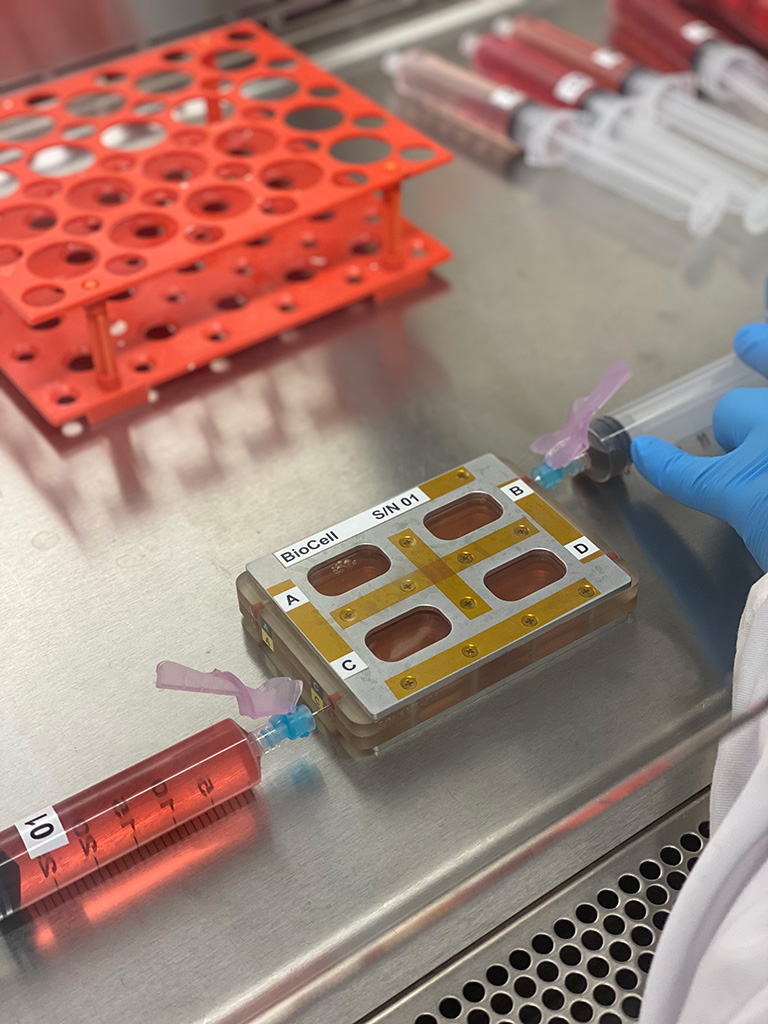 Tissue chips for a UCSF investigation are prepared for launch to the ISS onboard Space CRS 25