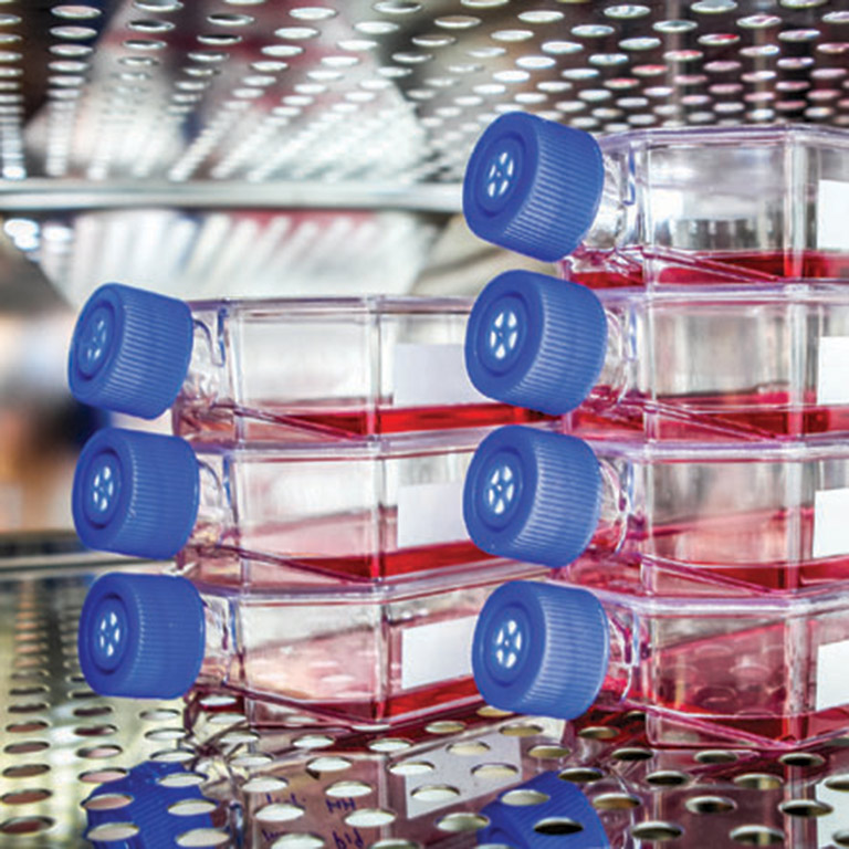 Tissue culture bottles