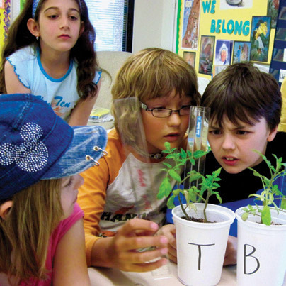 Elementary students analyze plant growth through the Tomatosphere program.