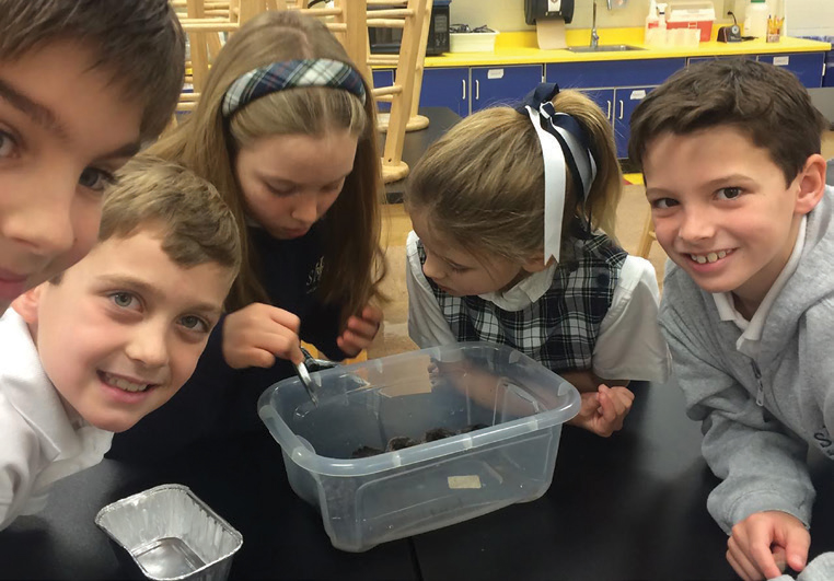 tomatosphere kids with seedlings