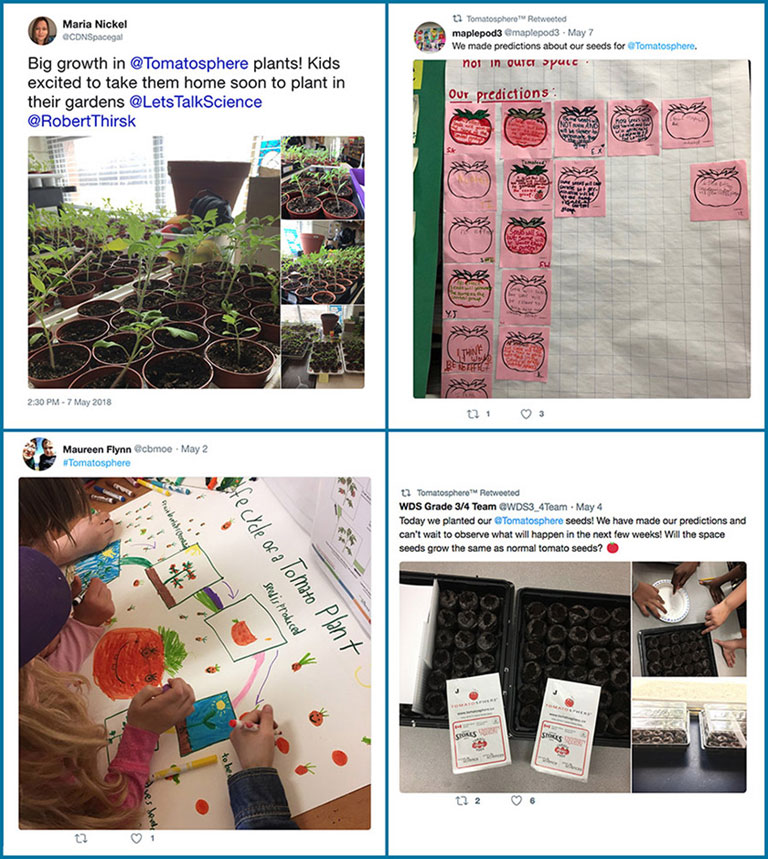 Many classrooms started their germination experiments in early May 2018. Teachers are tweeting their progress <a href=