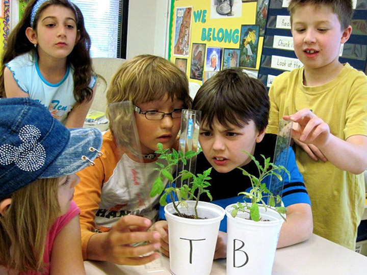 tomatosphere students