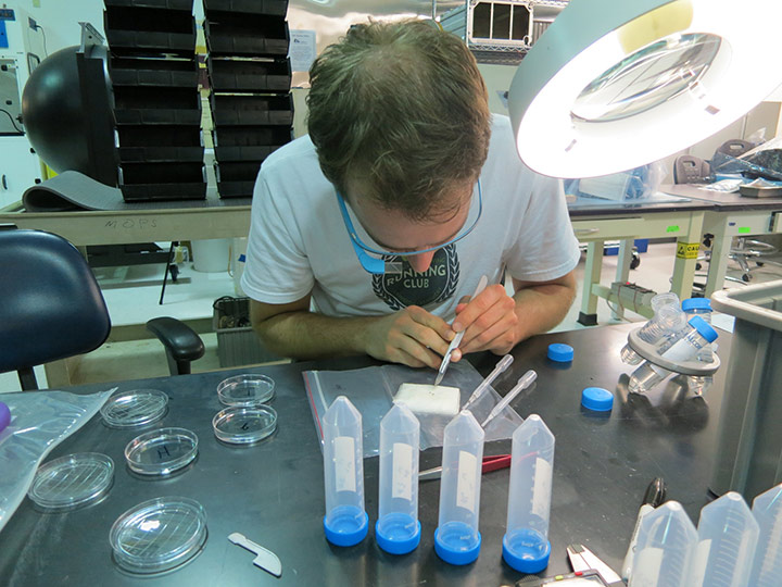 Space Tango CEO Twyman Clements cuts the flatworms into thirds prior to spaceflight.