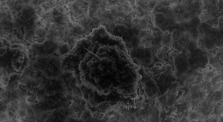 Scanning electron microscopy image of aggregates of kaolinite clay formed in salt solution