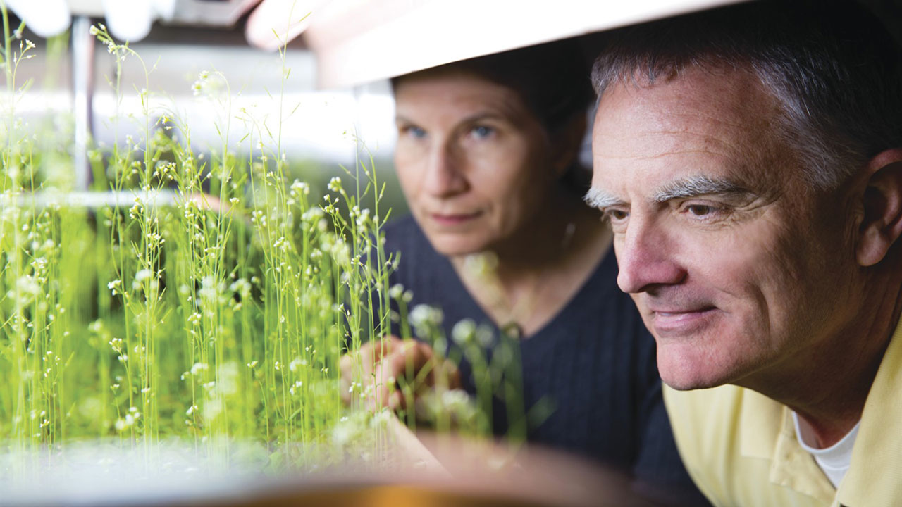 Anna Lisa Paul and Rob Ferl in the University of Florida Space Plants Lab.