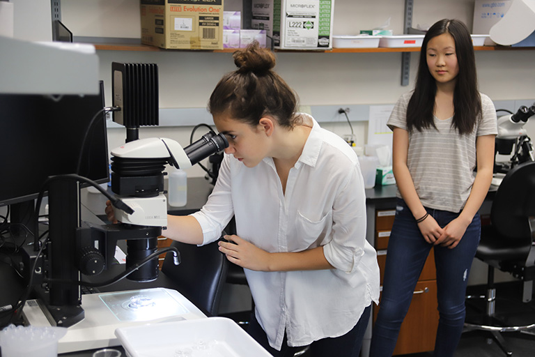 upward gis liz microscope