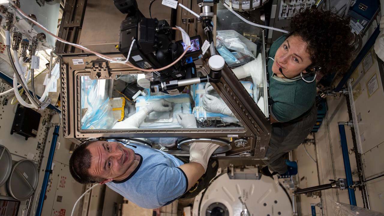 NASA astronauts Jessica Meir and Drew Morgan work with the mice in the Life Sciences Glovebox onboard the ISS.