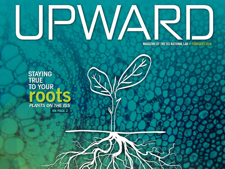 upward vol1 featureimage