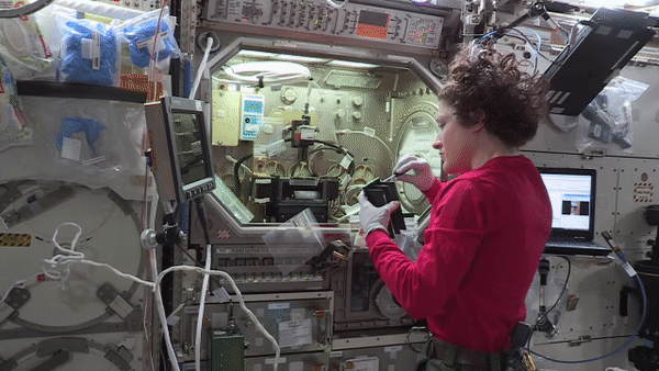 NASA astronaut Christina Koch installs samples for experimental burning in the Microgravity Science Glovebox during the confined combustion investigation onboard the space station.