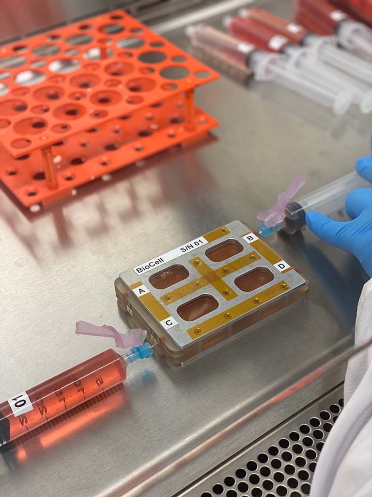 Tissue chips for the immune cell aging investigation are prepared for launch to the space station.