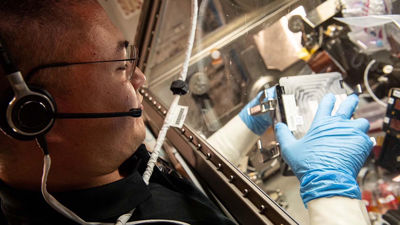 upward63-immune-kjell-lsg NASA astronaut Kjell Lindgren processes samples inside the Life Science Glovebox for the Immunosenescence space biology study.