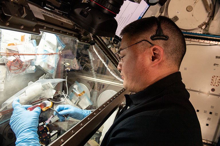 NASA astronaut Kjell Lindgren processes samples inside the Life Science Glovebox for the Immunosenescence space biology study.