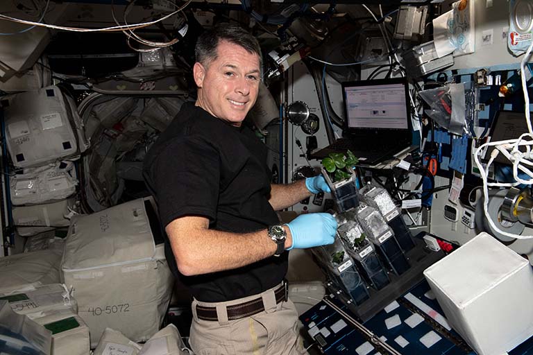NASA astronaut Shane Kimbrough shows off bright green cotton leaves during the experiment.