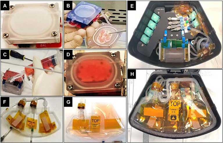 This figure shows various parts of the experiment, including (B) a tissue card placed inside a culture chamber and (H) nutrients connected to the culture chamber and placed inside the module.