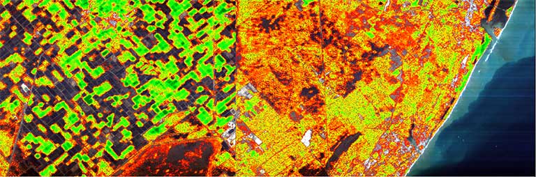 A normalized difference vegetation index (NDVI) analytic layer applied to an ISS HEIST image taken over Florida. NDVI is often used to assess the health of vegetation.