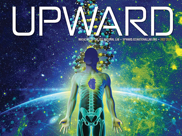 upwardcoverclip