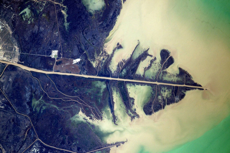 The Ural Delta in the Caspian Sea looks like a tree leaf. Astronaut Thomas Pesquet, ISS Expedition 50 51. Ural River Delta, Kazakhstan.