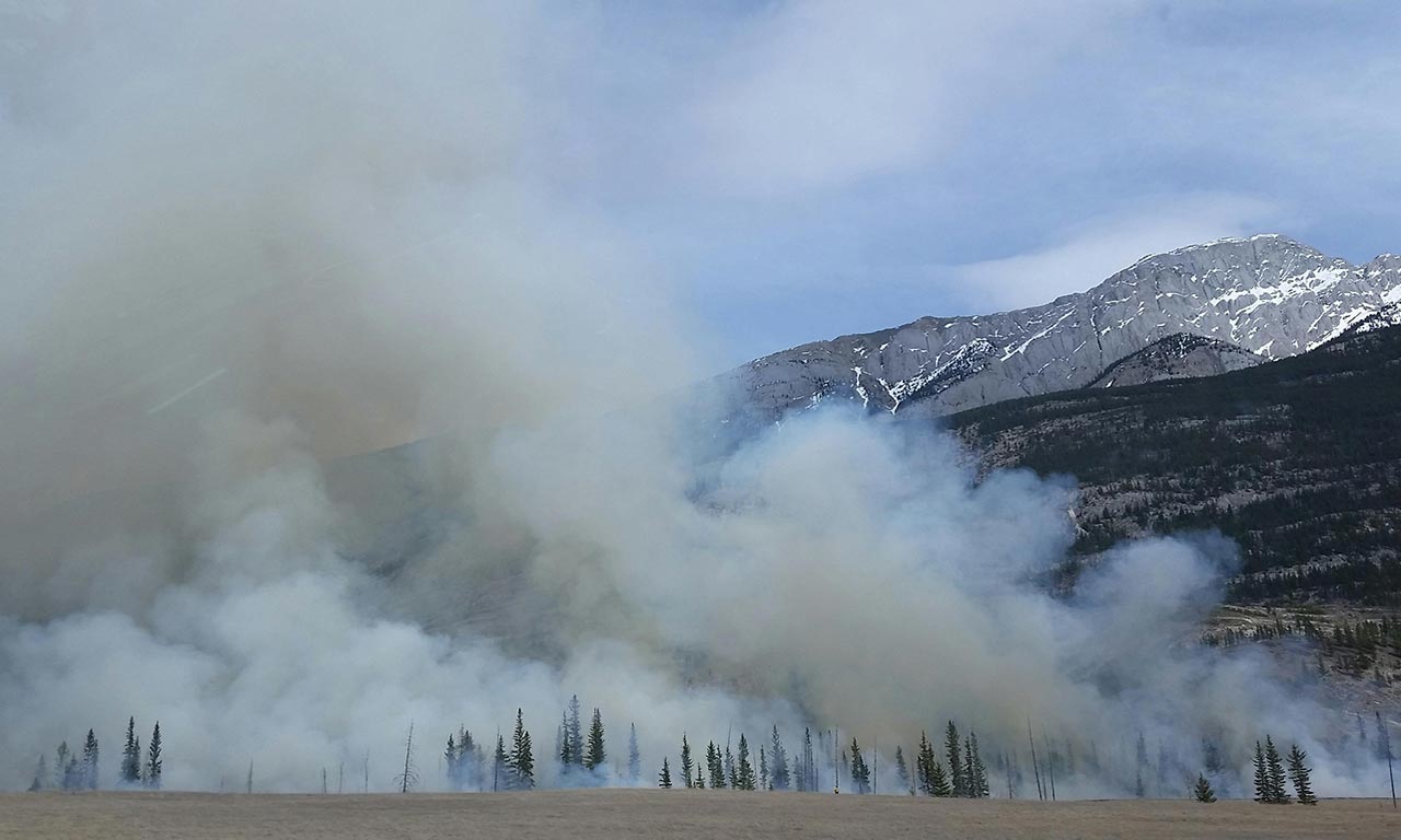 wildfire-case-studies