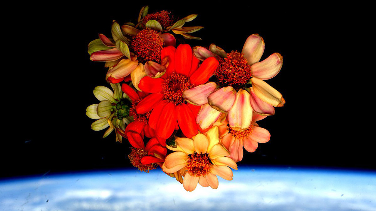 In 2016, Scott Kellys Valentines Day gift to the world was a photo of a floating bouquet with distant Earth in the background.