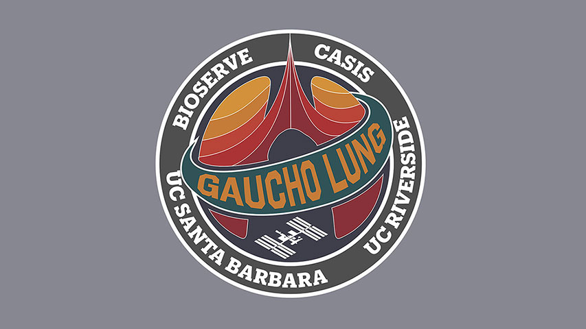 spx29-ucsb-gaucho-lung-patch-wide spx29 ucsb gaucho lung patch