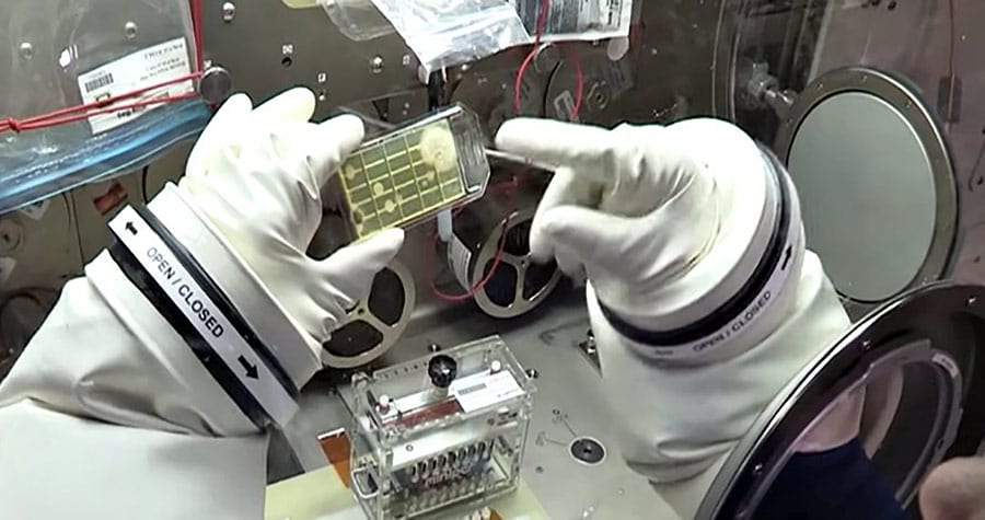 peggy-whitson-msg-hands-bacteria