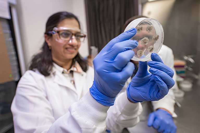 Sonika Kumar examines cotton samples