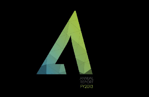2013-annual-report-cover