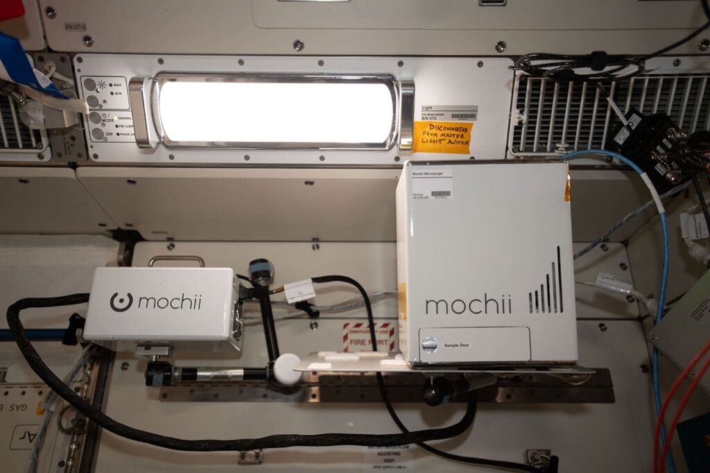 Mochii