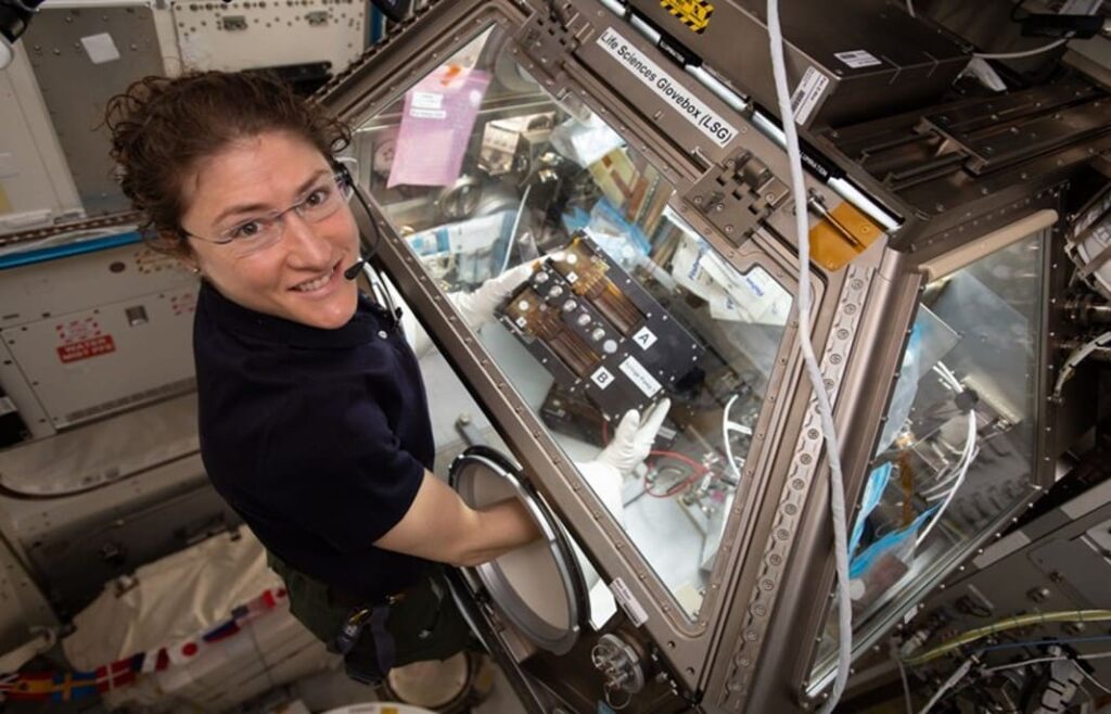 Organ-on-a-Chip Facility