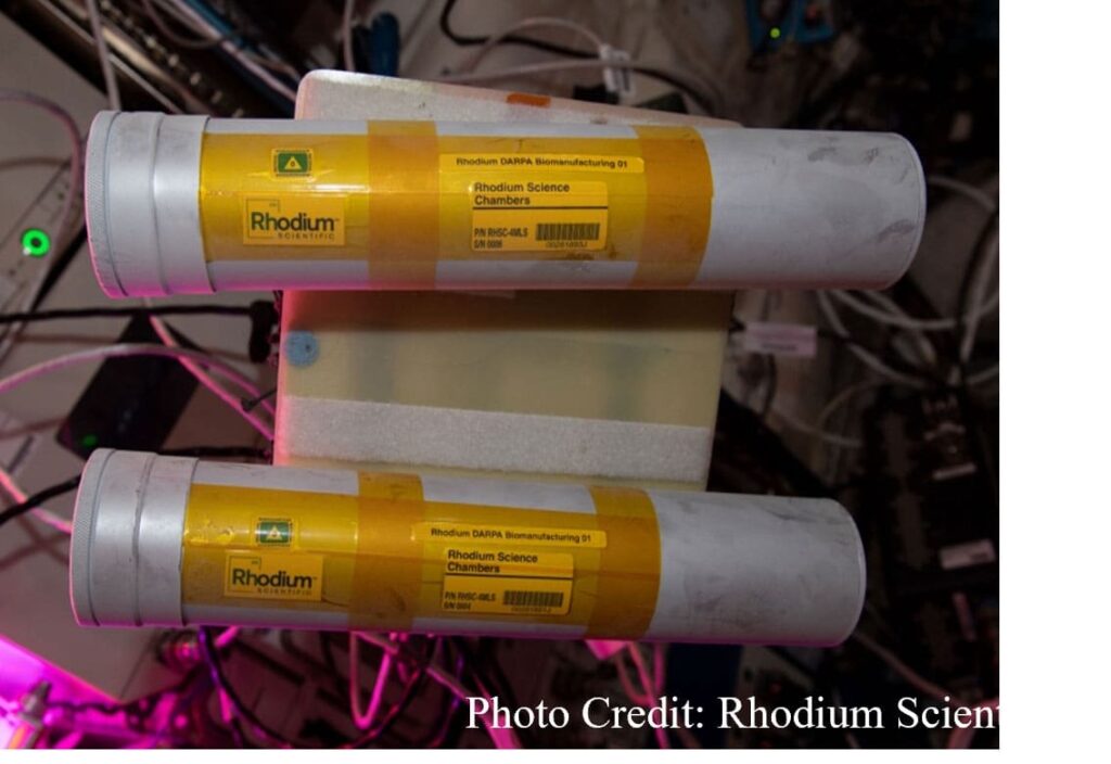 Rhodium Science Chamber 4MLS