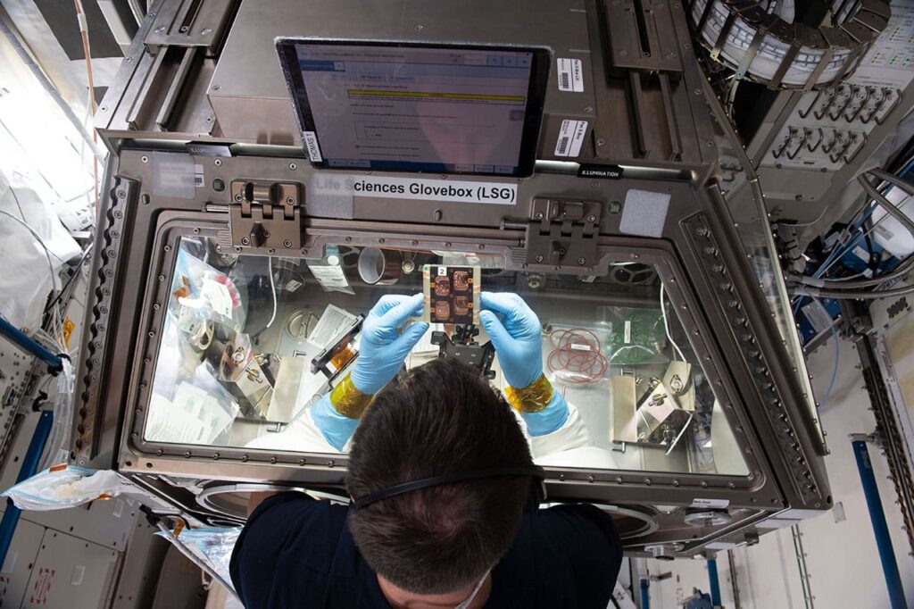 Life Sciences Glovebox