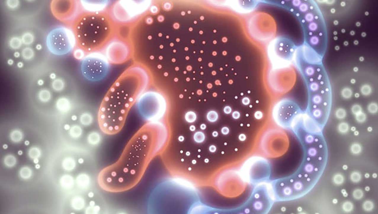 bacteria